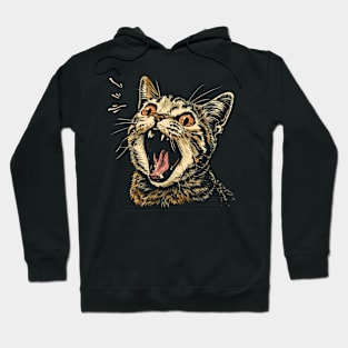 Shocked Cat Hoodie